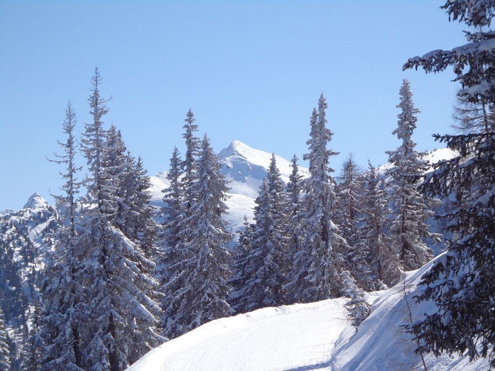 Apartment Hinkerhof Schladming Eksteriør bilde